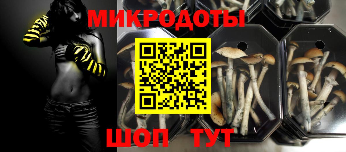 Серов  Галлюциногенные грибы ЛСД  Вход с VPN  Галлюциногенные грибы Psilocybine cubensis 